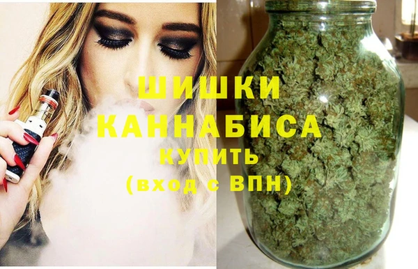 spice Зеленодольск